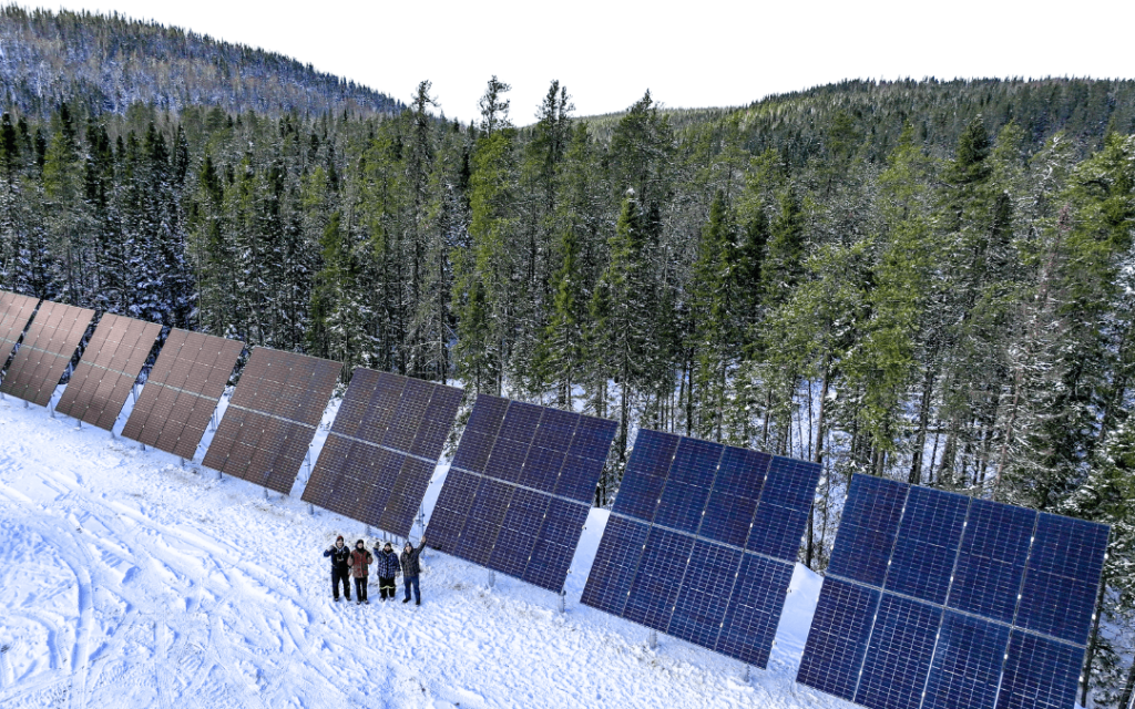 rodzaje paneli fotowoltaicznych